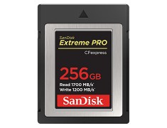 SanDisk Extreme Pro CFexpress Type B 256GB 記憶卡〔1700MB/s〕公司貨