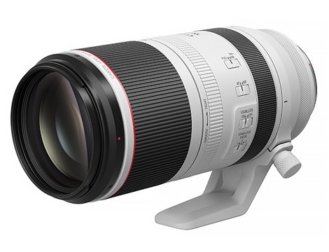 Canon RF 100-500mm F4.5-7.1 L IS USM 平行輸入