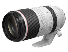 Canon RF 100-500mm F4.5-7.1 L IS USM 公司貨